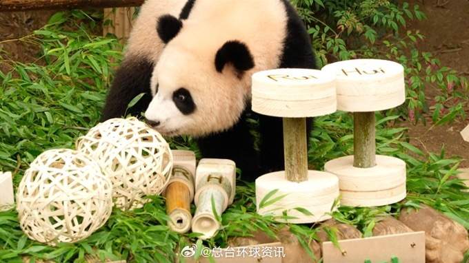 7.jpg?x-oss-process=style/w10