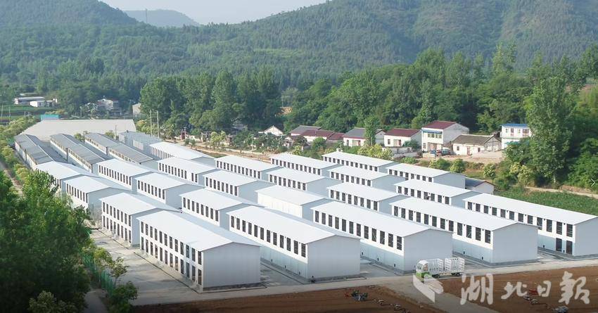五龙池产业综合体：烟田织锦绣，振兴绘新章.docx