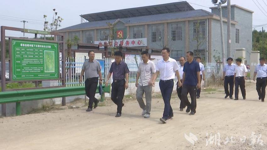 蕲春县领导和政协委员踏勘清蕲线（余航  摄）