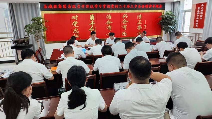 8.12县城投集团召开学习贯彻党的二十届三中全会专题会.docx