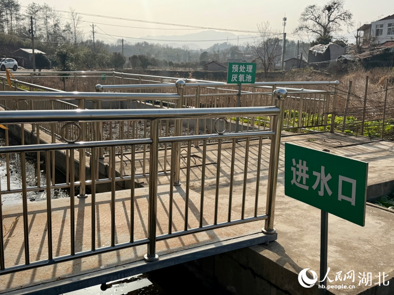 人工湿地污水处理设施。人民网记者 王郭骥摄