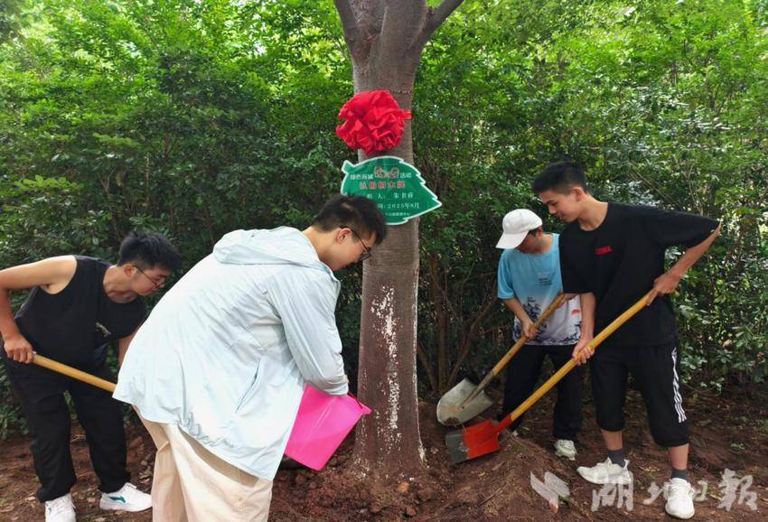 麻城：“认养一棵树” 与城市共赴绿色文明之约.docx