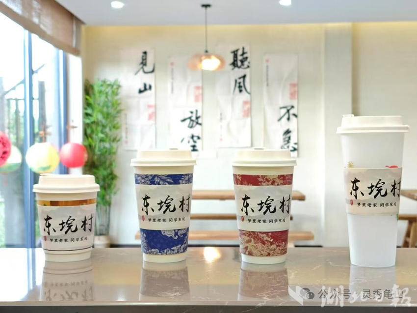 高校赋能，乡村蝶变：黄冈师范学院助力东垸(1).doc