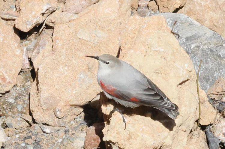 北緯31秘境檔案黑美20251216090346.docx