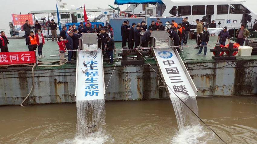 全国荣誉！来自洪山的他们上榜.doc