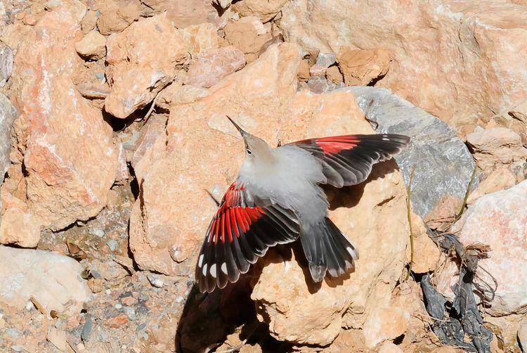 北緯31秘境檔案黑美20251216090346.docx