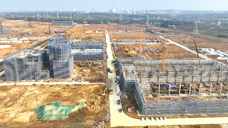 新洋丰项目建设现场.jpg