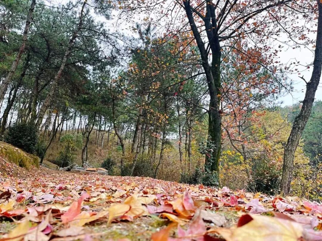 独山2.jpg