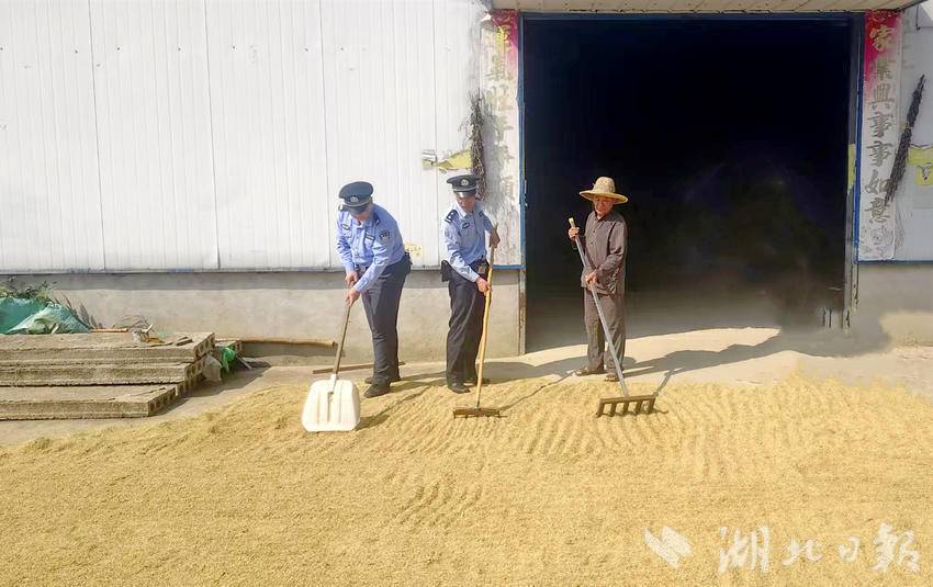 民警帮助群众晾晒稻谷