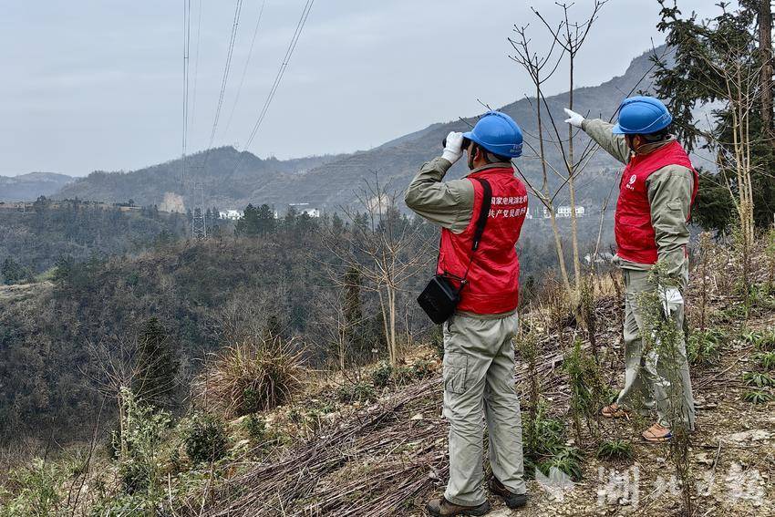 竹溪县供电公司:巡视线路除隐患 “双优四零”服务优 - 湖北日报新闻客户端