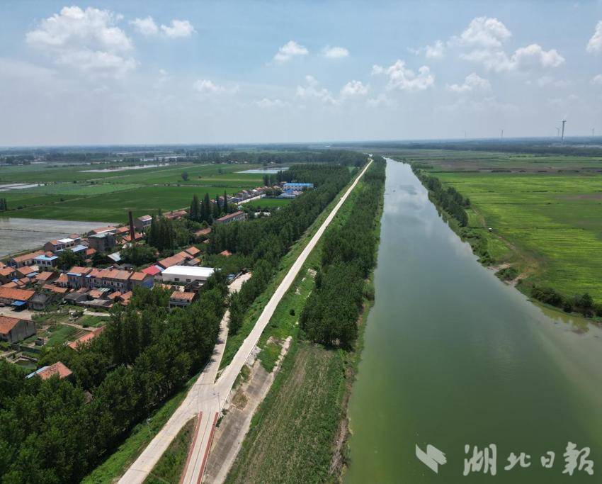 应城梅港村：芦荡深处，赤色永存.docx