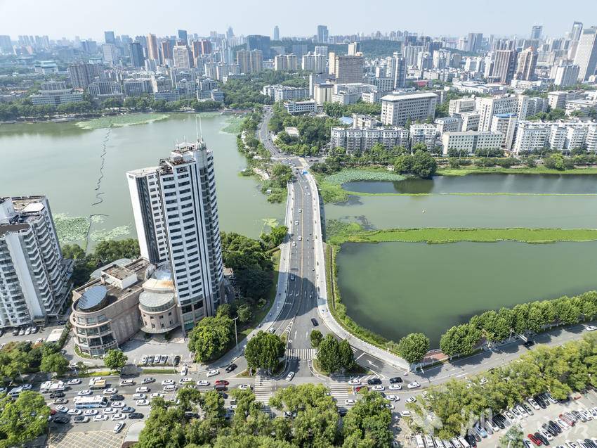 双湖桥片区“水清岸绿”颜值再提升