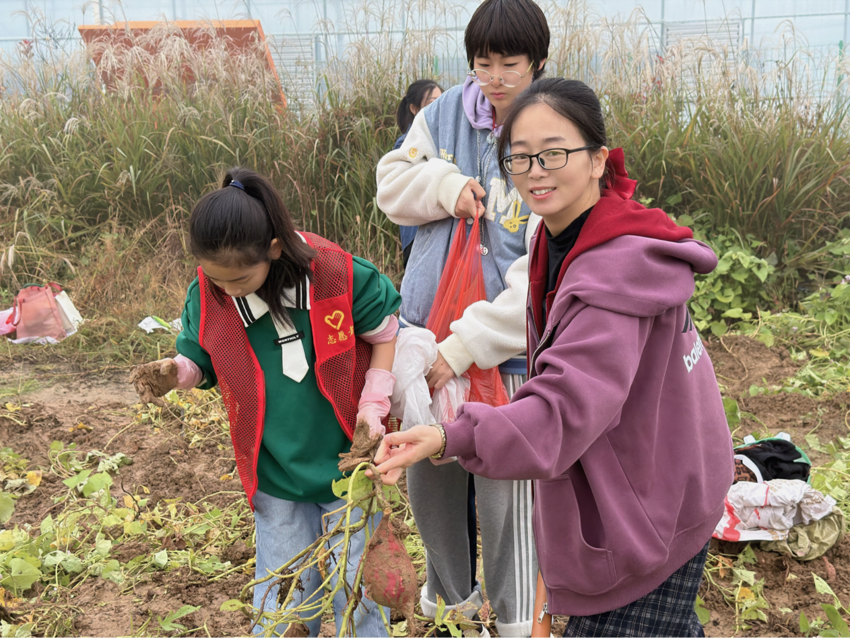 田间挖薯寻乐趣 亲子假期别样甜.docx