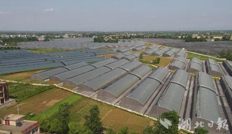 麻城财政：产业发展呈胜景，民生福祉为归处.doc