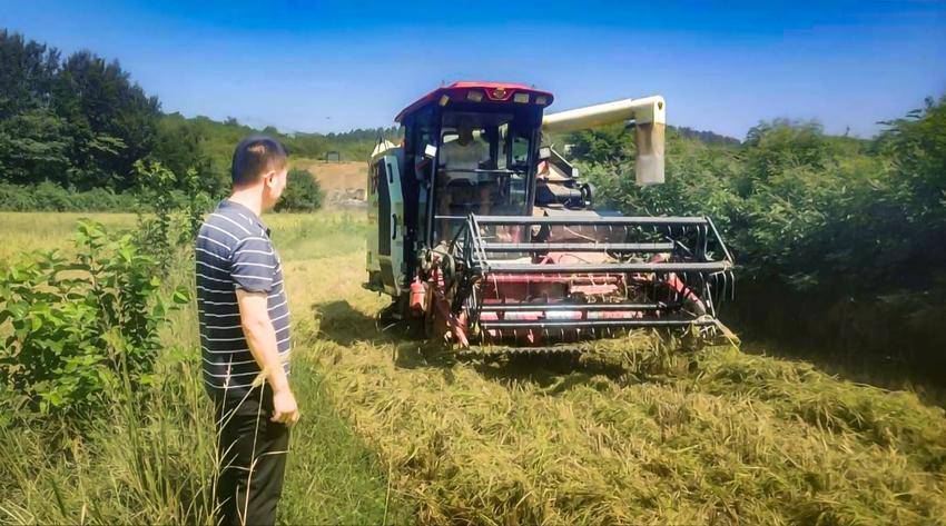 安陆市接官乡：机械收割奏响秋收“交响曲”.docx