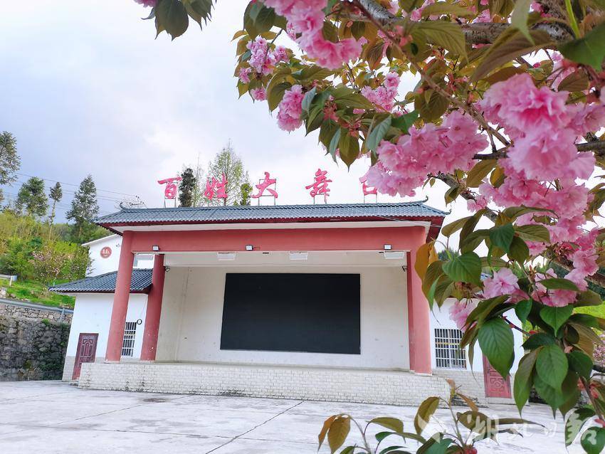 村文化广场4月份樱花盛开