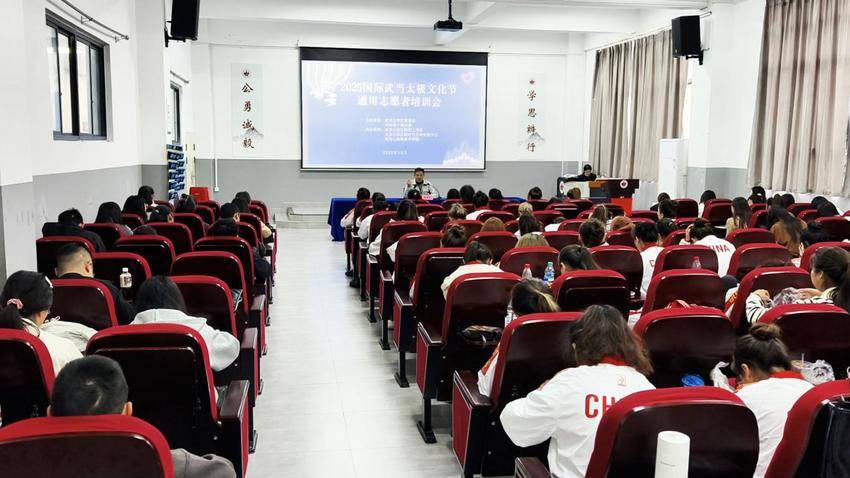 413名志愿者护航2025国际武当太极文化节——以专业与热情筑就文明桥梁.docx