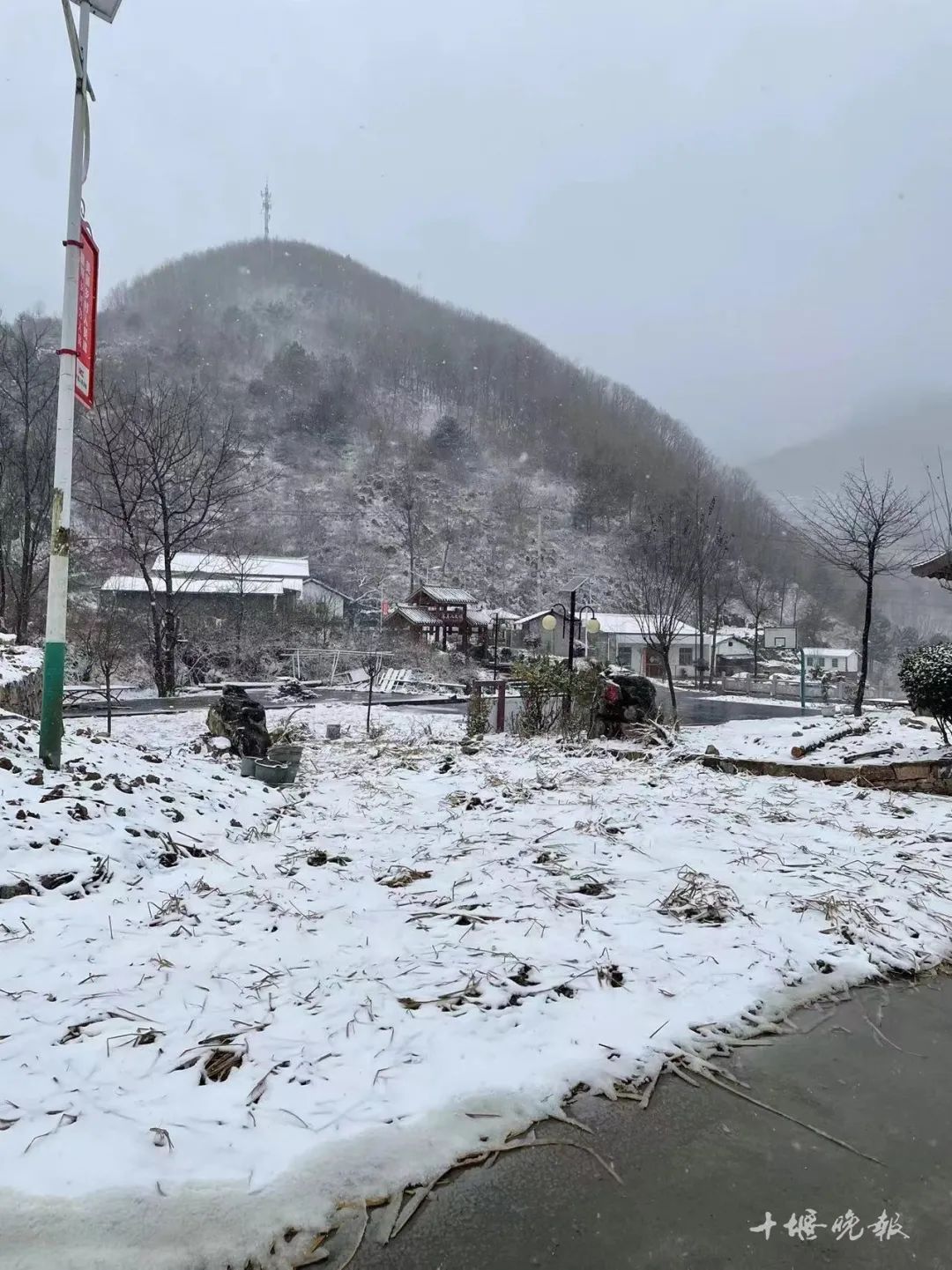白茫茫一片雪花飘飘十堰的湖北口坎子山上午9点十堰又下雪了今天(29