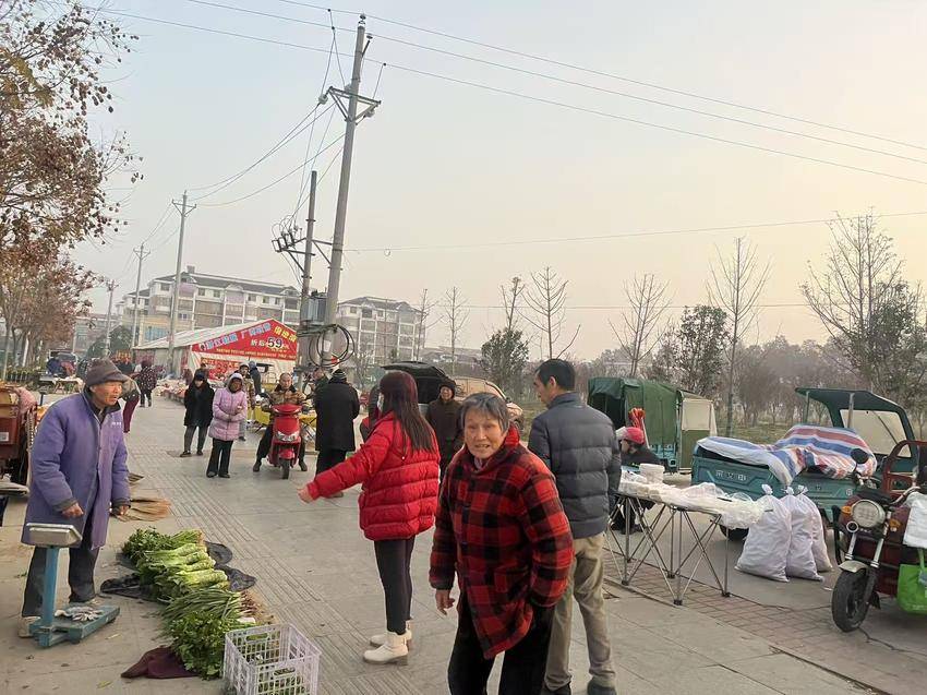 安陆市巡店镇规范日常管理，提升集镇文明水平.doc