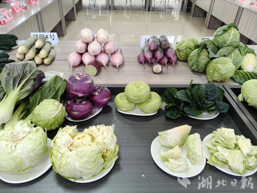 嘉鱼健康蔬菜首季品鉴会召开(1)(1).docx