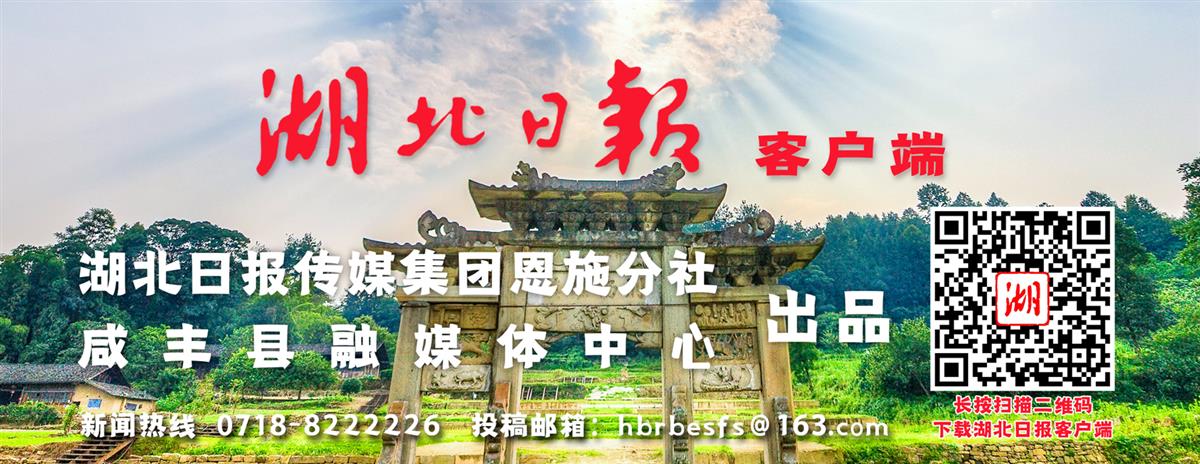 咸丰.png