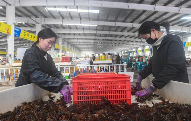 多地小龙虾身价上涨，简直“腰斩”！最重价的时候即将到来