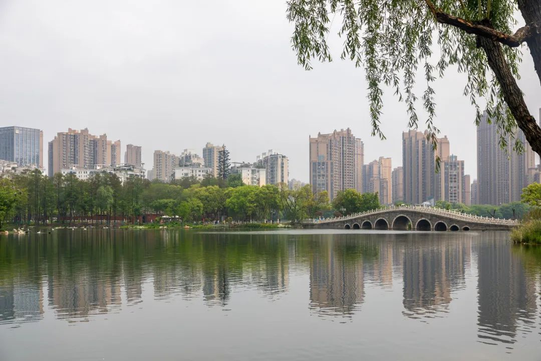 武汉动物园马沧湖  视觉中国 图