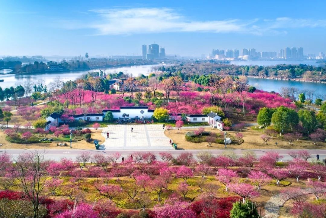 2阿明 临皋春晓 (27).jpg