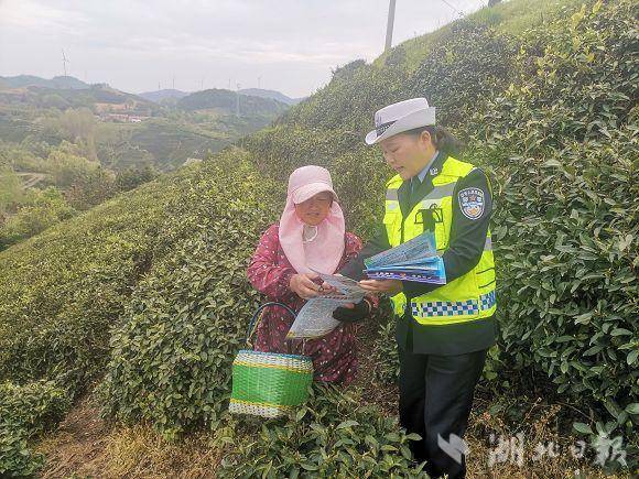 广水采茶旺季，交通安全“警”相随