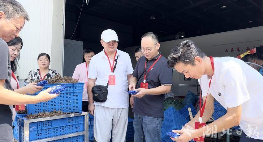 2024年9月，嘉鱼县新街镇新街社区人民议事厅成员走访湖地野藕生产基地。