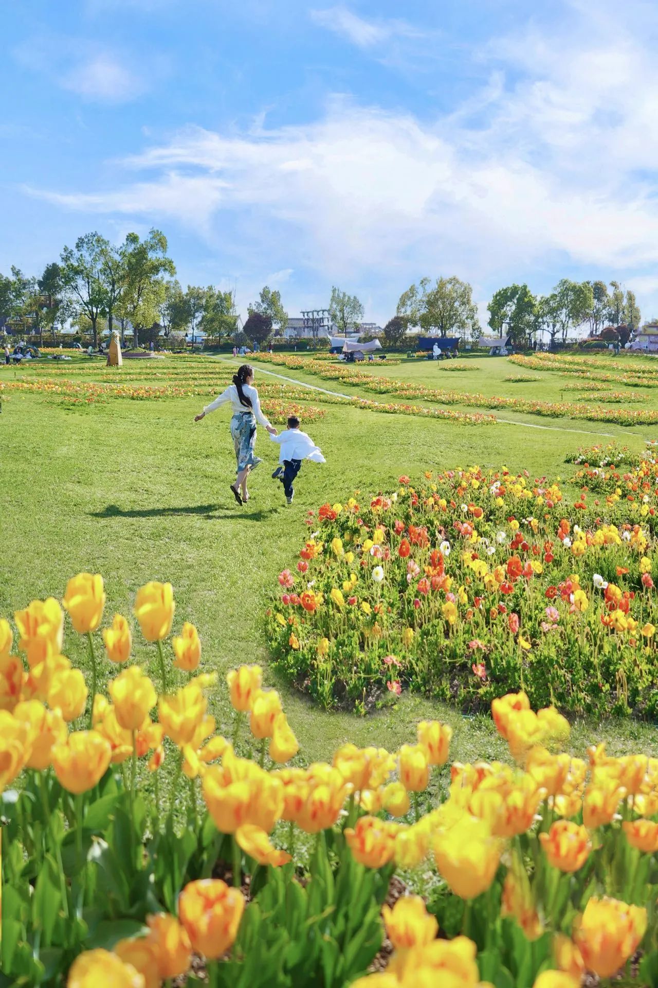 蔡甸区龙头景区花博汇2.jpg