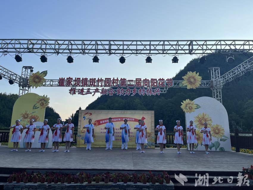 恩施市崔家坝镇举办第二届向阳花节 - 湖北日报新闻客户端