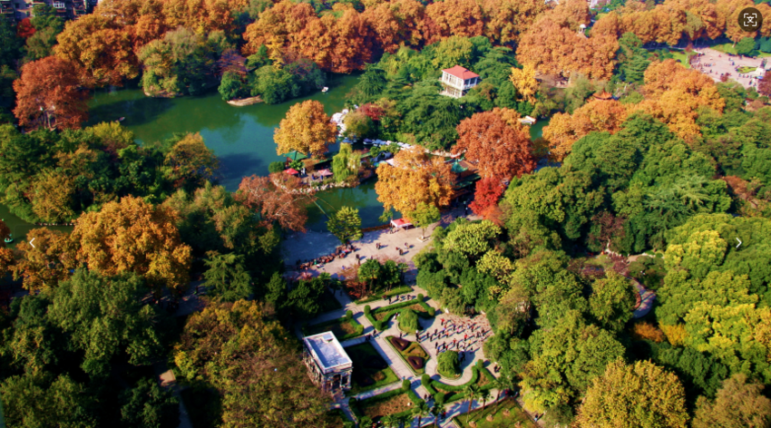 “建园为民 活力更新”——湖北省城市公园更新典型案例 武汉篇(4).docx