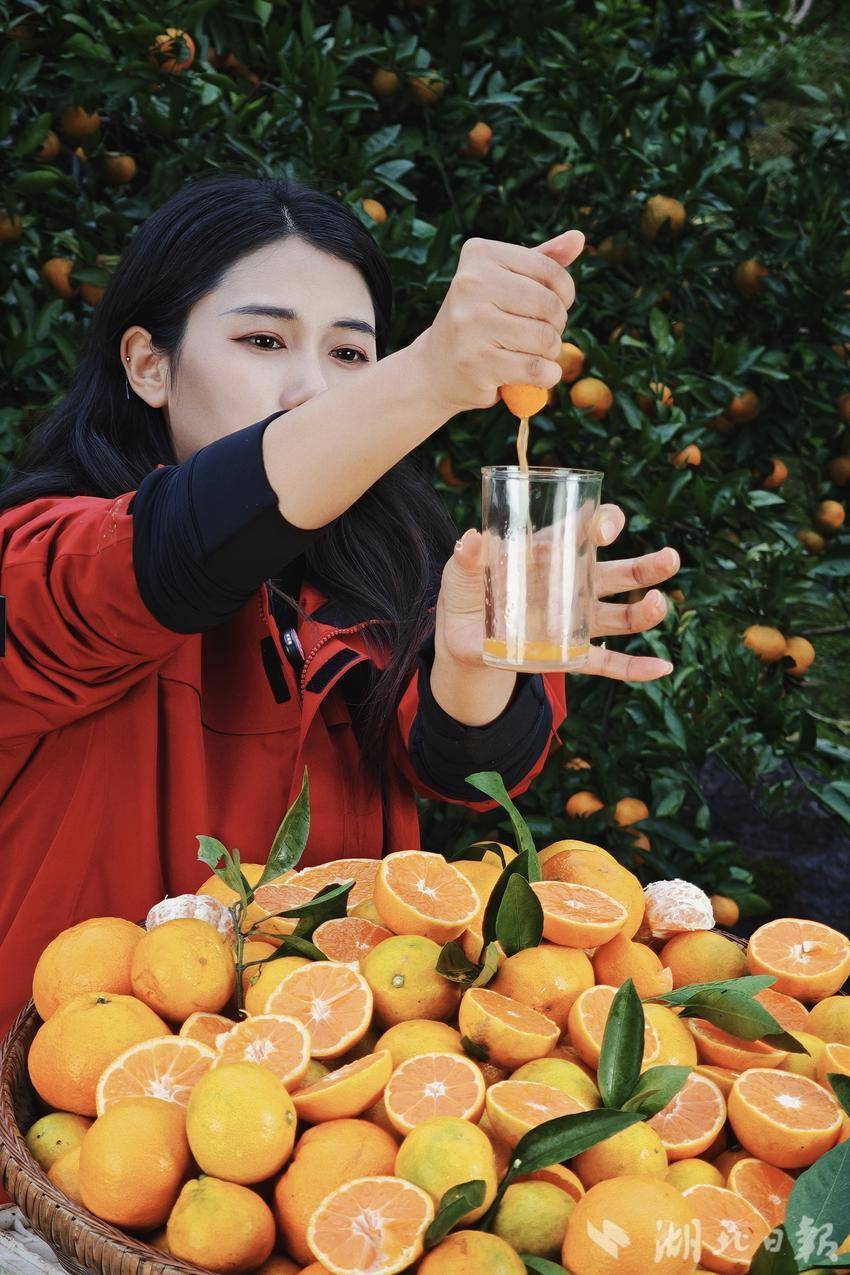 谭萌萌：从都市网红到乡村电商，让家乡的味道走出大山(图4)