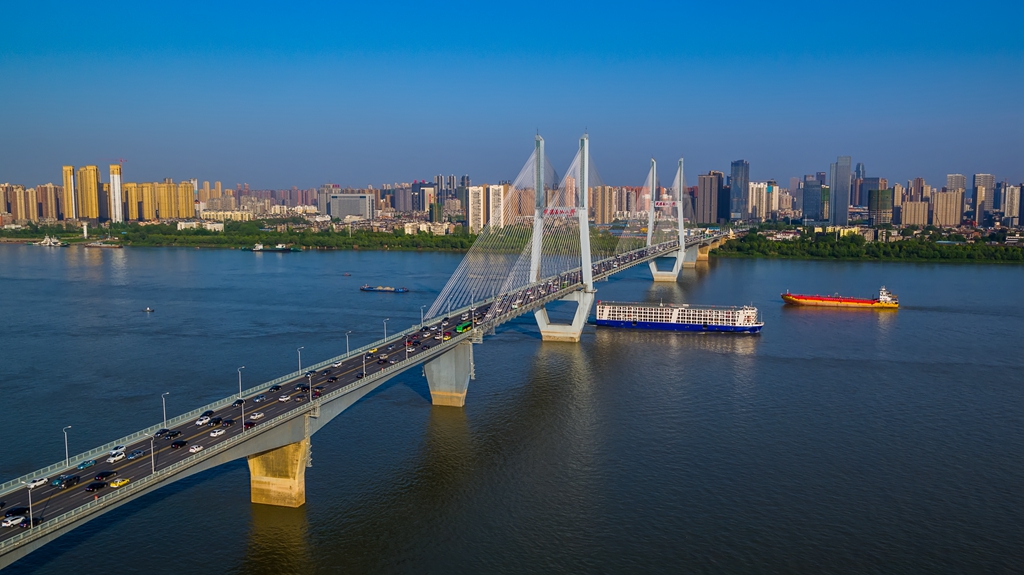 湖北38座长江大桥座座身世不凡，快来瞧一瞧 【湖北省境内长江大桥全名单（上游至下游）】(图27)