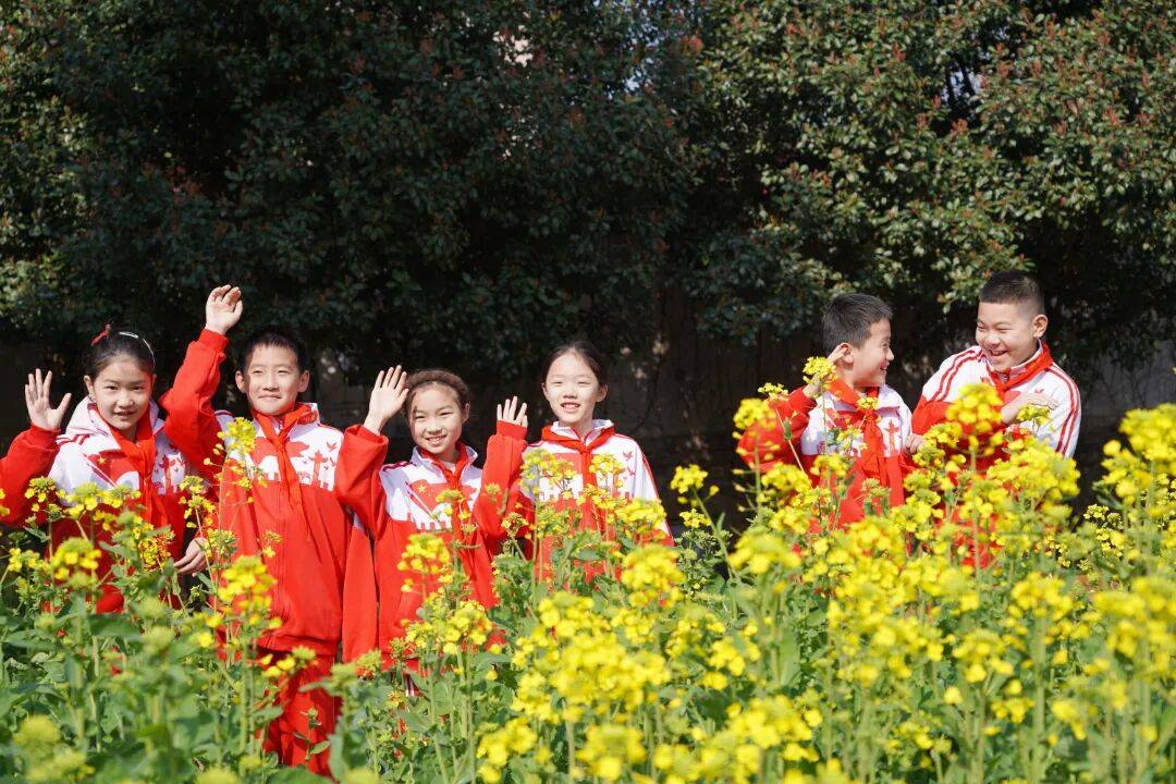 光谷十一小 看油菜花把金黄铺满春天.JPG