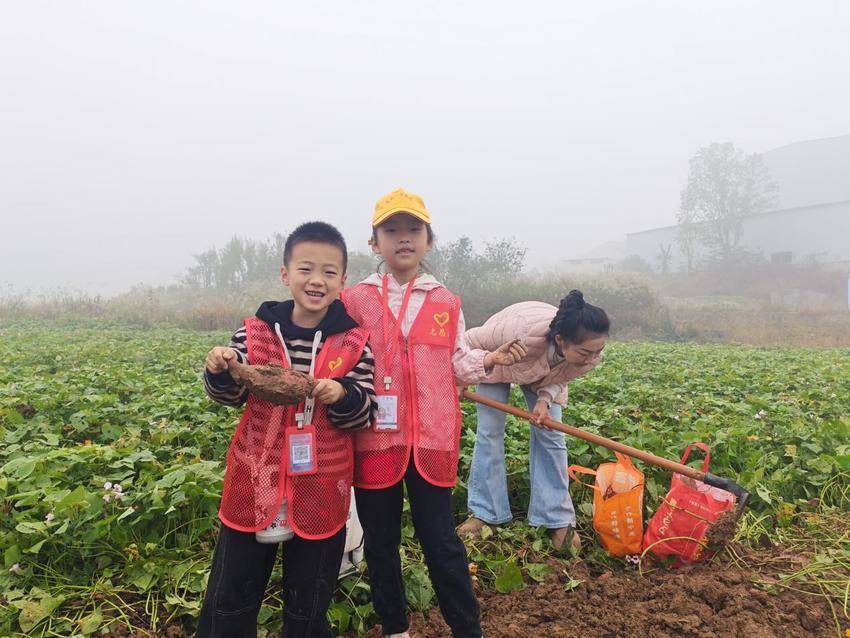 田间挖薯寻乐趣 亲子假期别样甜.docx