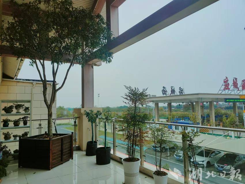 湖北精耕怎么样湖北交投京珠运营公司：精耕庭院方寸天地 青绿晕染美丽京珠_https://www.jmylbn.com_新闻资讯_第3张