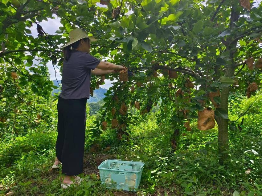 【修改定稿版】将军山脚下正冲村【余四海散文2850字】.docx