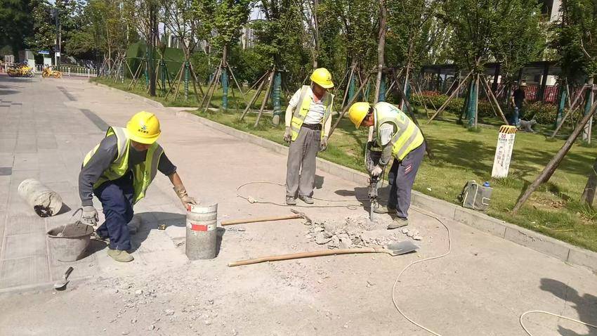 人行道栽种路桩