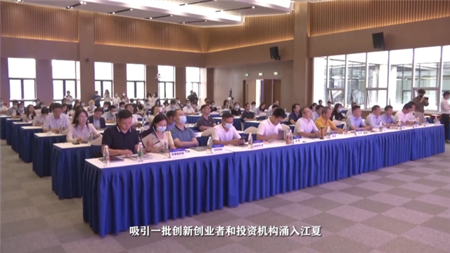 敢字当头 一拼到底 江夏区企业和人才服务中心：做企业和人才的“贴心人” 让企业和人才服务驶向快车道