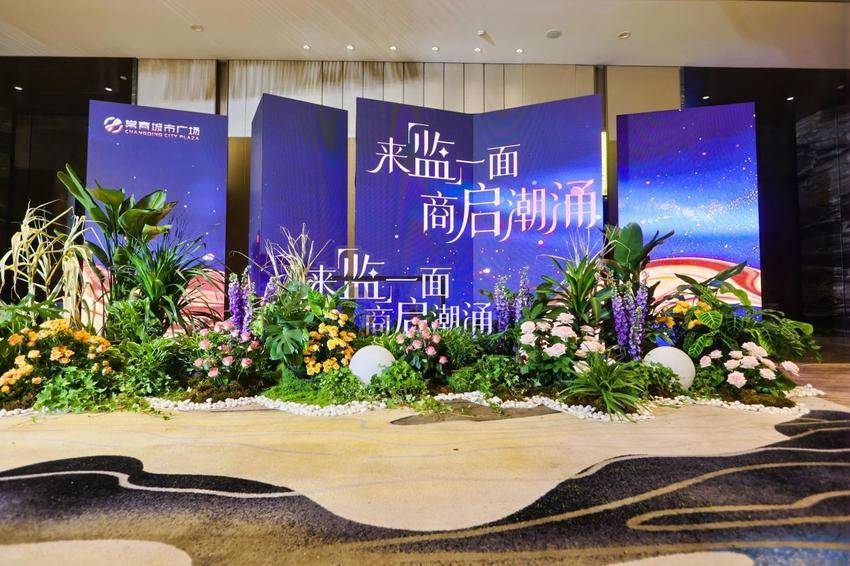 招商大会新闻通稿(517)带图.docx