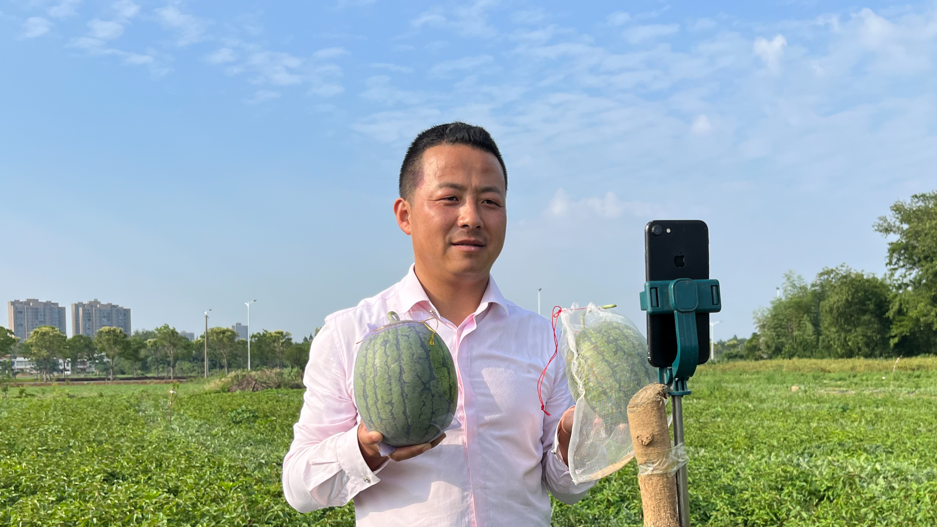 应城市黄滩镇‘甜美工业’成为村庄复兴微弱引擎！