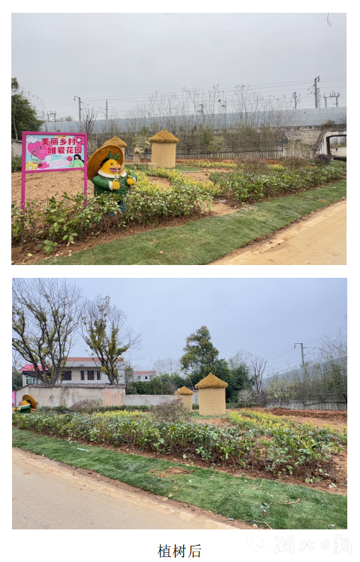 党建引领生态蝶变：武城村“唯爱小花园”绘就乡村振兴新图景.docx