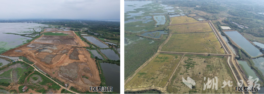 渡普镇全域国土整治项目建设按下“加速键”(1).docx