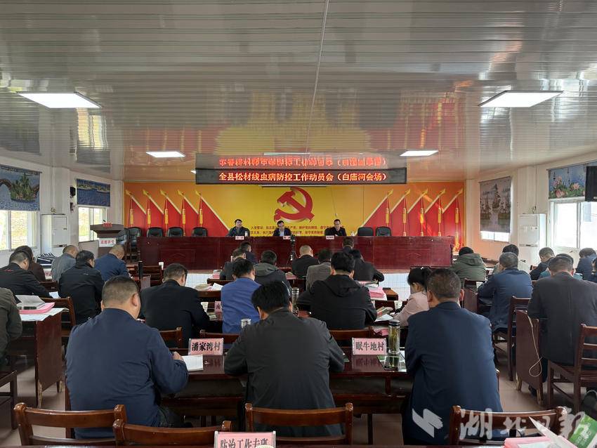 白庙河镇联合开展疫木检查工作的宣传报道.doc