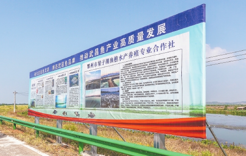 做亮做响武昌鱼品牌　做大做强武昌鱼产业