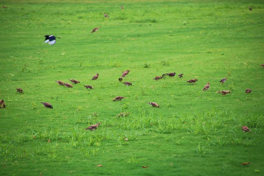 朱湖纪工委创新监督机制 筑牢湿地生态保护纪律屏障(2)(3).docx