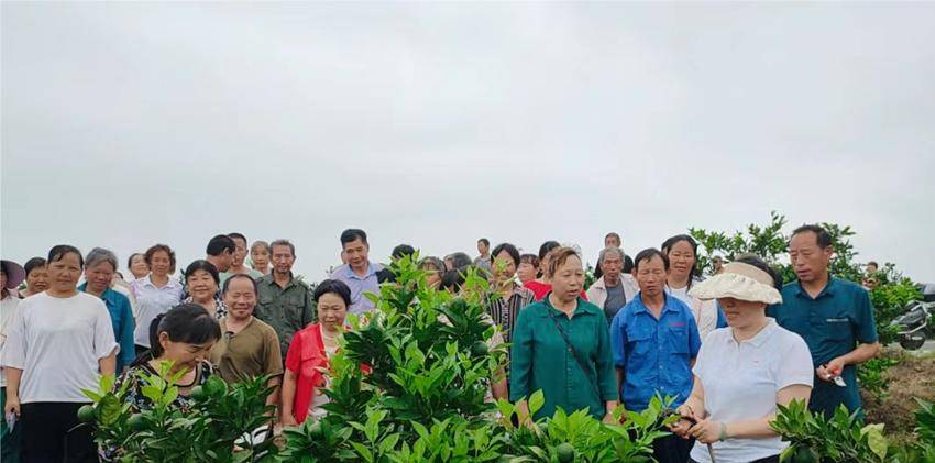 移民培训 (20240710).doc