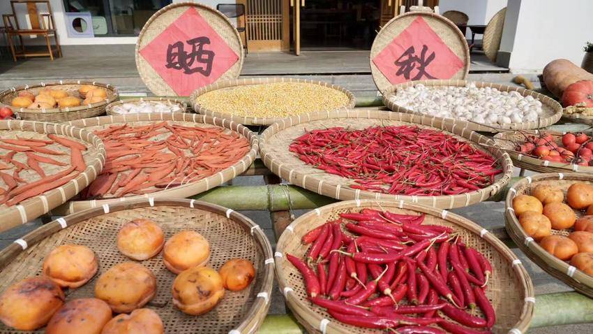 九堰一居晒秋.doc